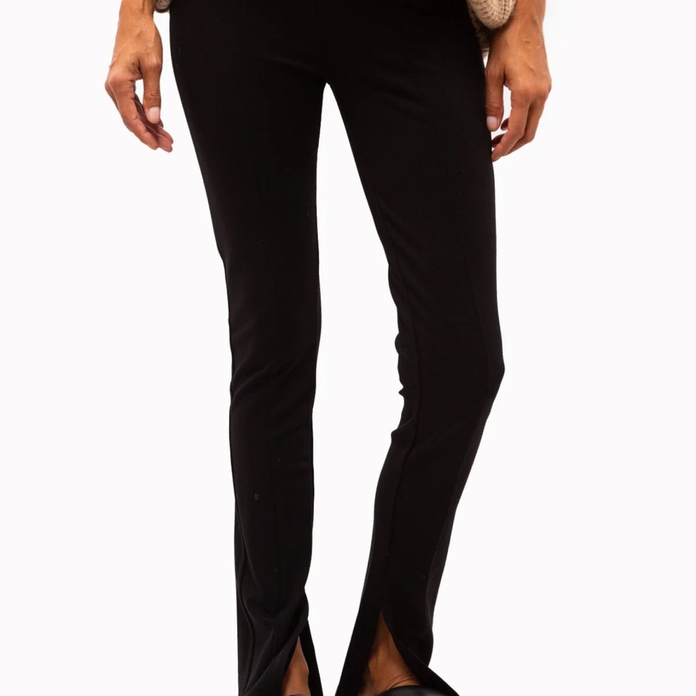 Anine Bing Max Pant